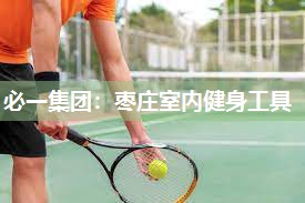 必一集团：枣庄室内健身工具