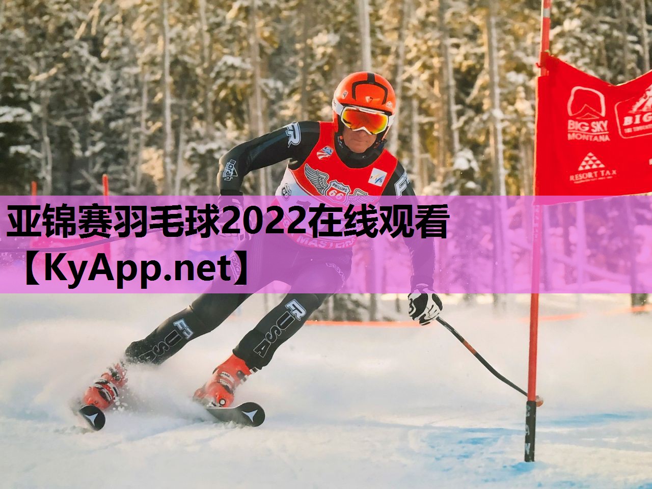 亚锦赛羽毛球2022在线观看